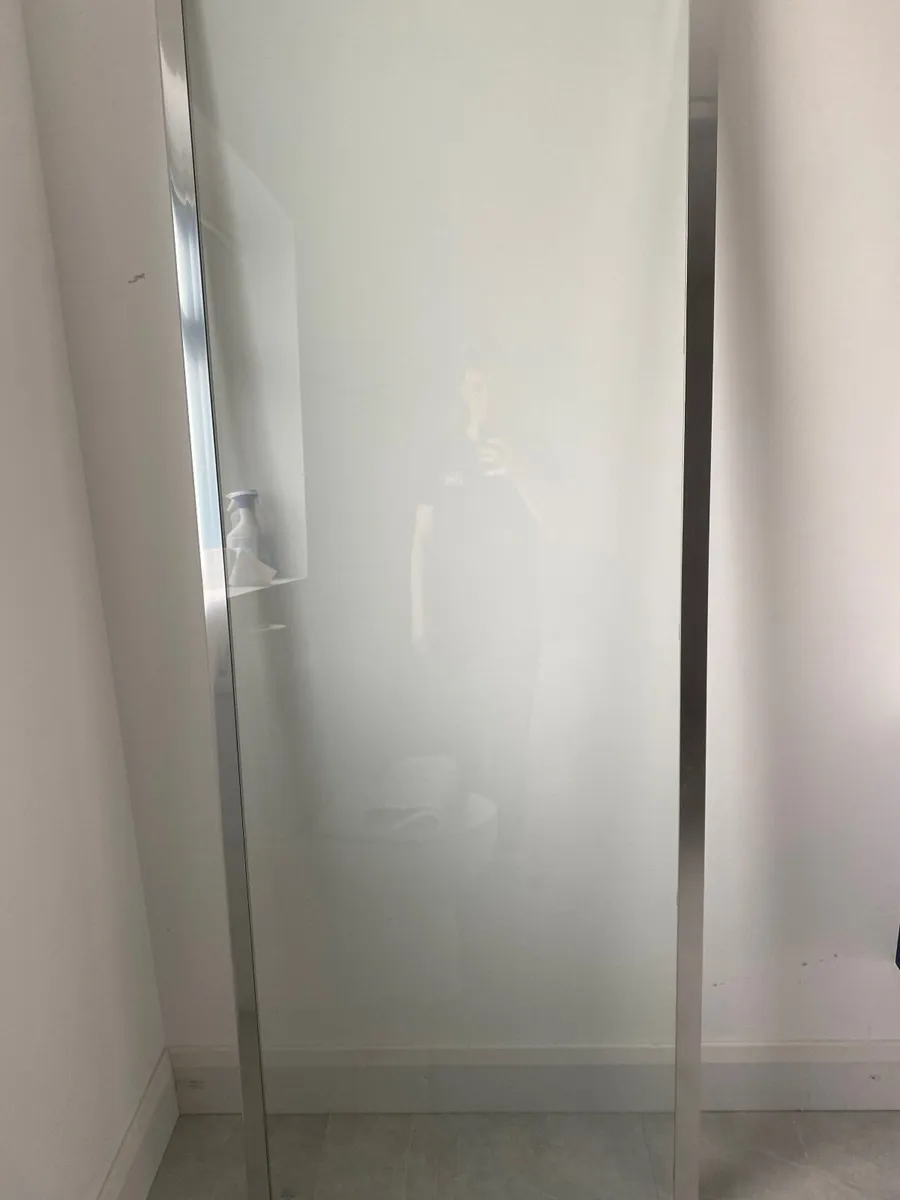Shower door and panel - Image 1