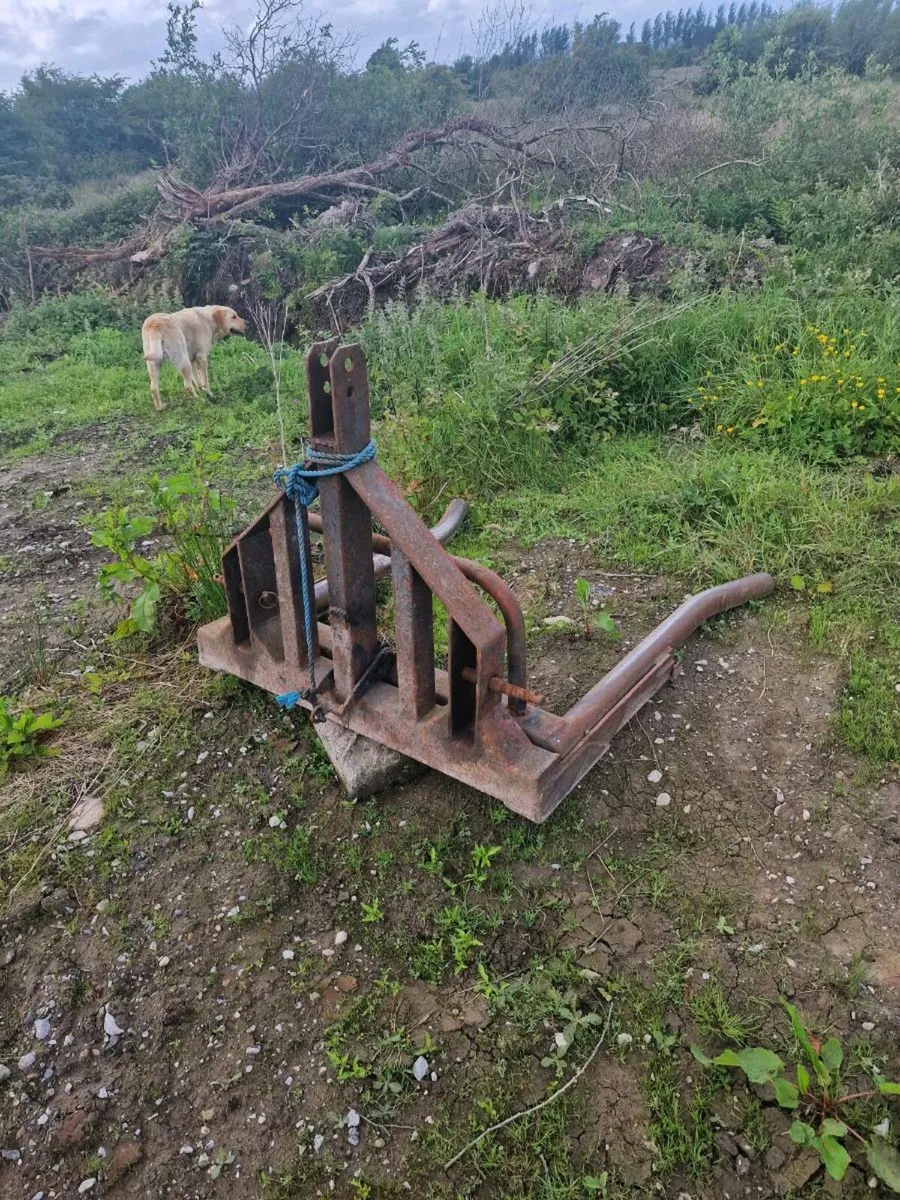 Bale lifter - Image 2
