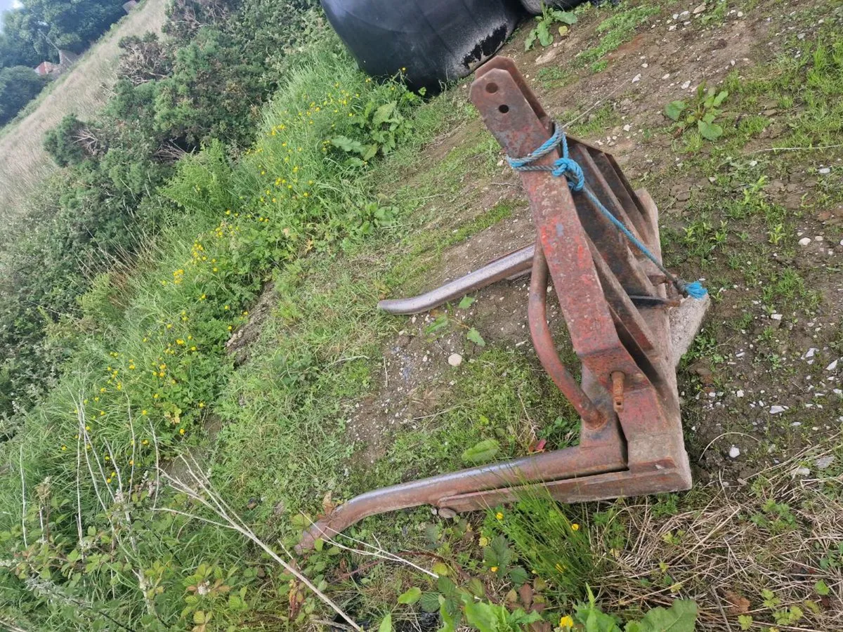 Bale lifter - Image 3