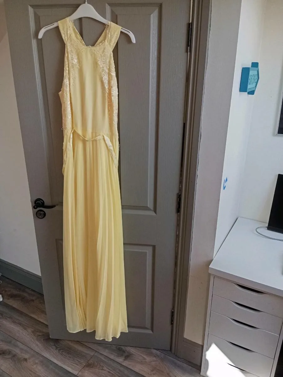 Ladies Dress - Image 1