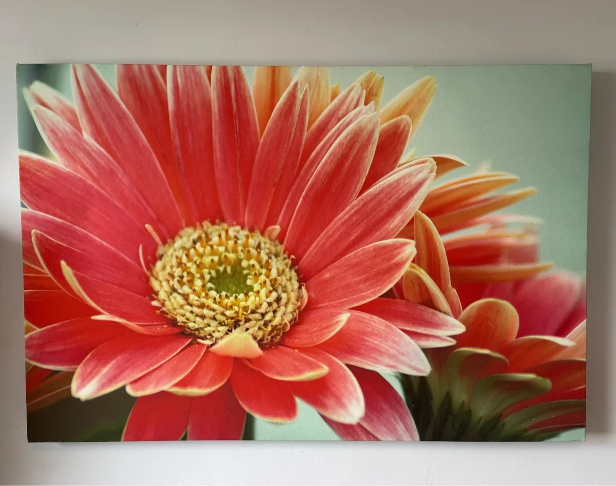 Canvas art - Image 1