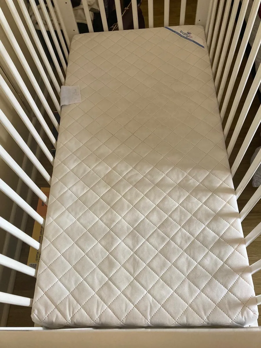 Cot - Image 3