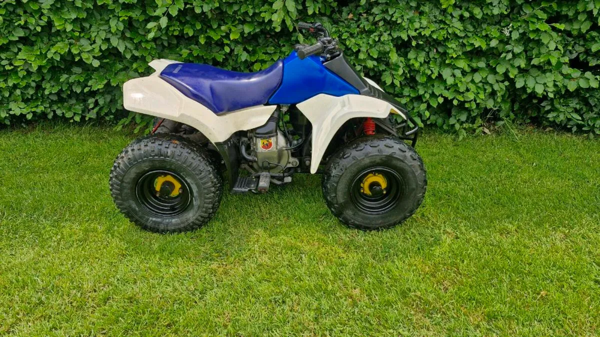 Suzuki lt80 - Image 3