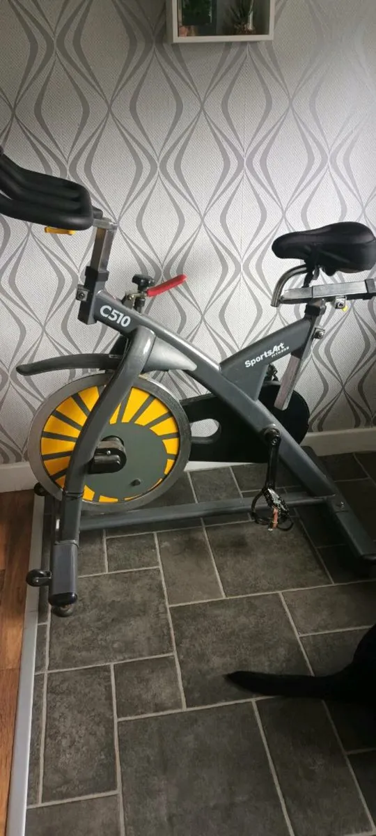 Spin  bike - Image 1