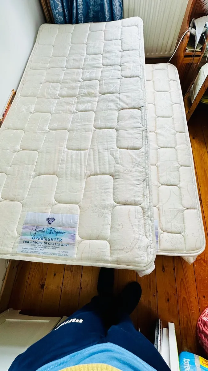 FREE: Single Guest Bed with Pull-Out Mattress - Image 2