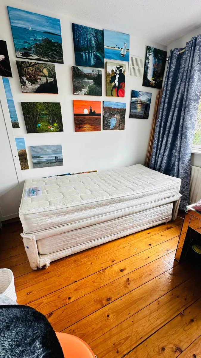 FREE: Single Guest Bed with Pull-Out Mattress - Image 1