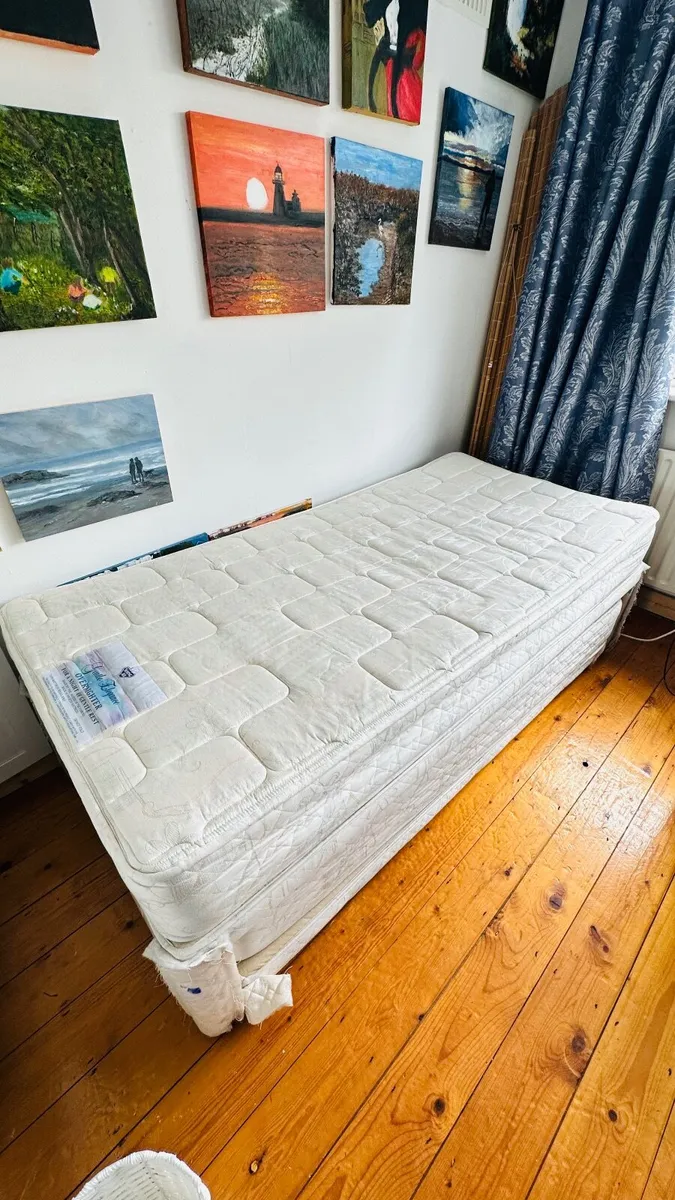 FREE: Single Guest Bed with Pull-Out Mattress - Image 3