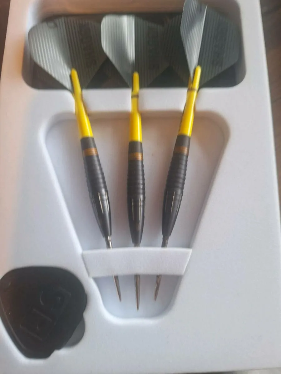 Darts - Image 4