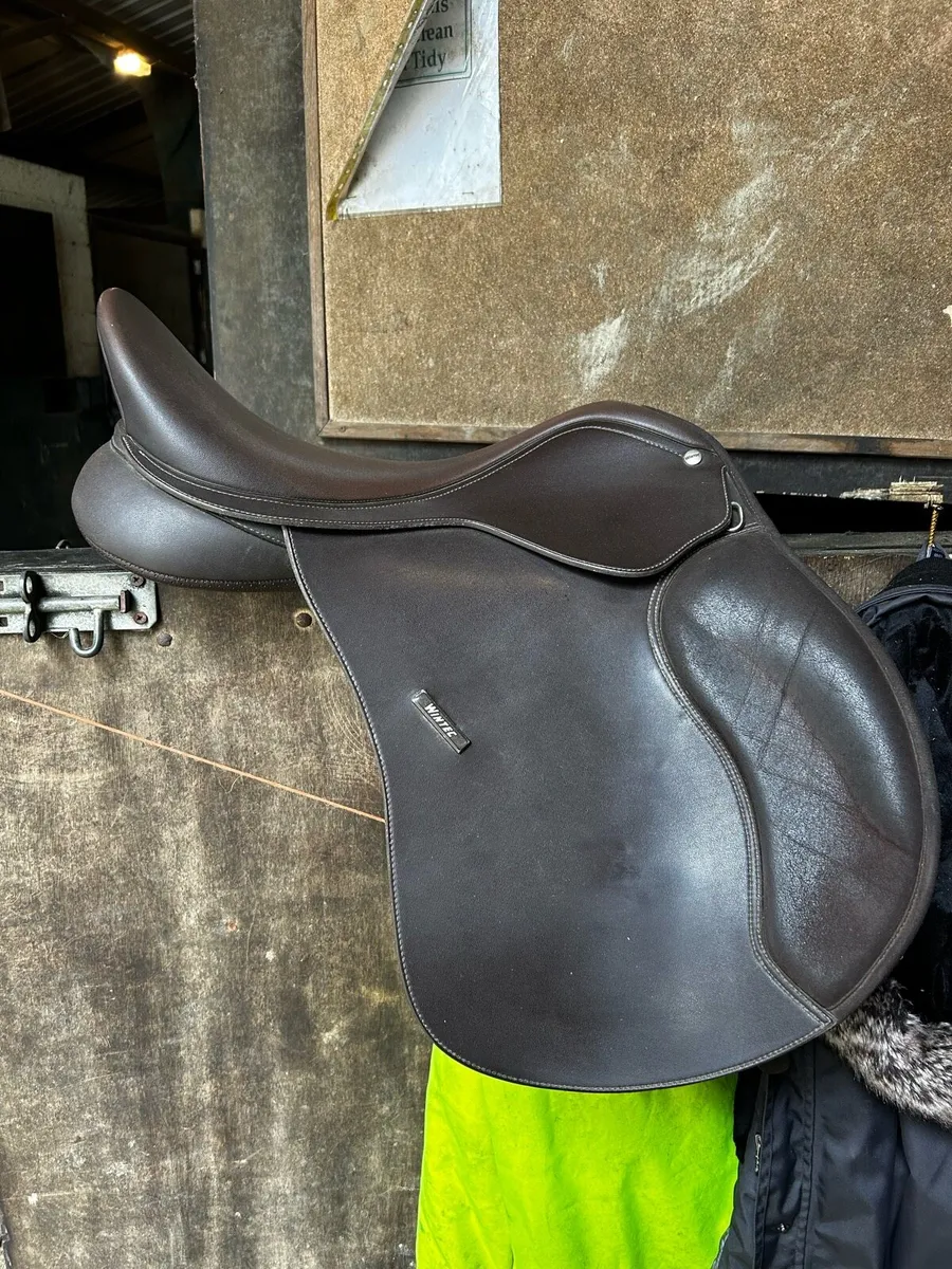 Saddles - Image 4
