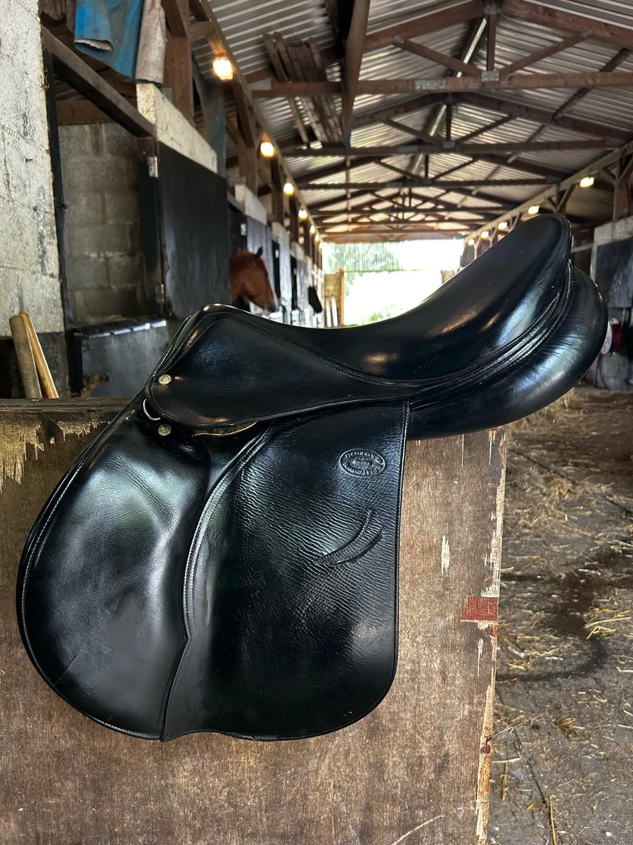 Saddles - Image 1