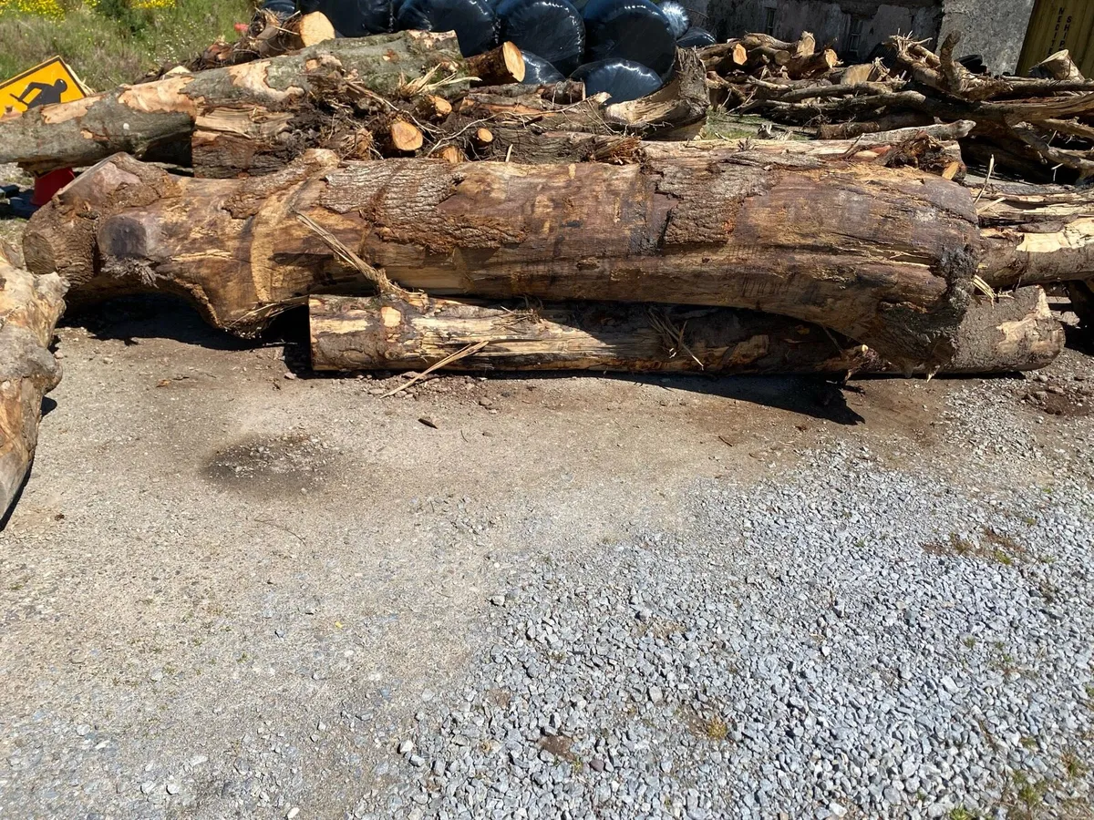 Oak furniture timber for sale - Image 1