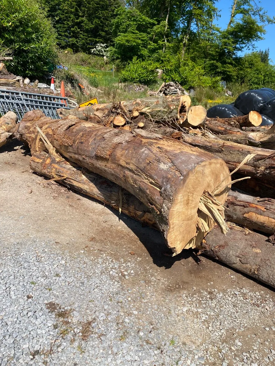 Oak furniture timber for sale - Image 2