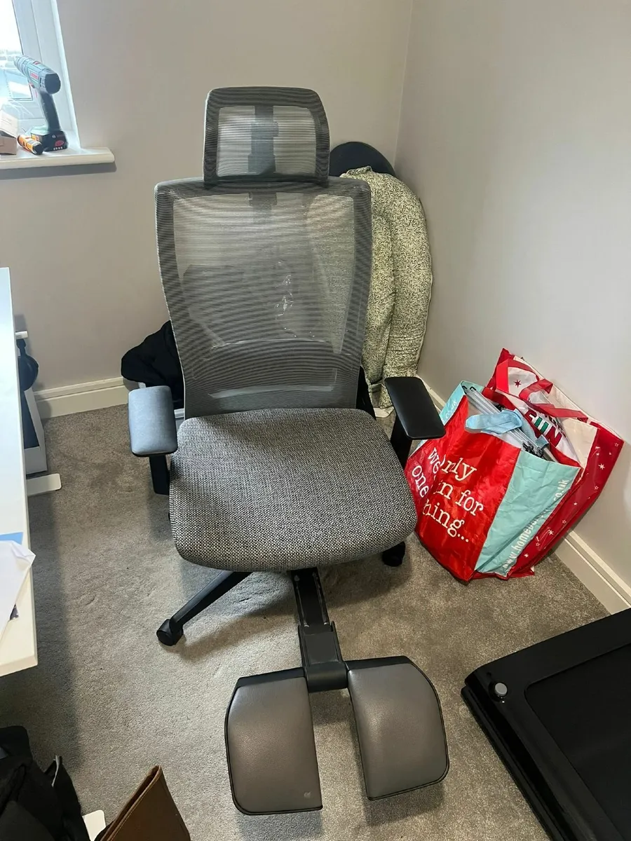 Ergonomic Office Chair - Image 1