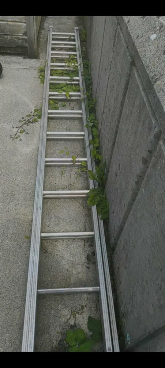22ft double extension stradbally ladder