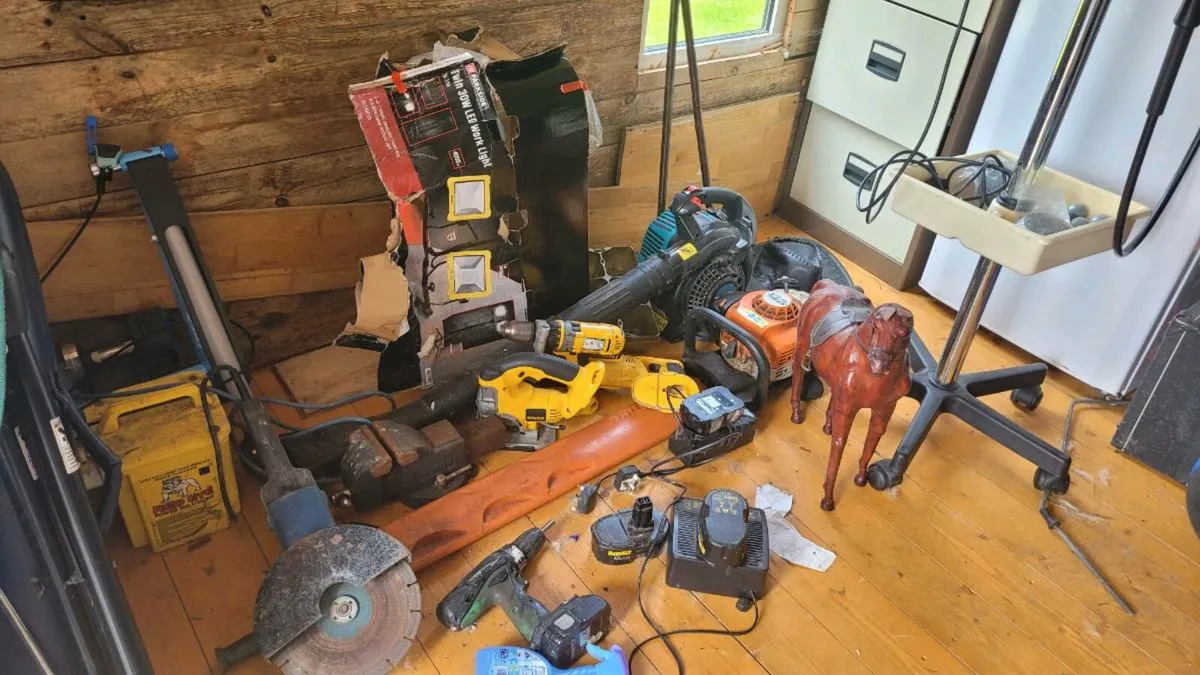 Shed clearance - Image 1