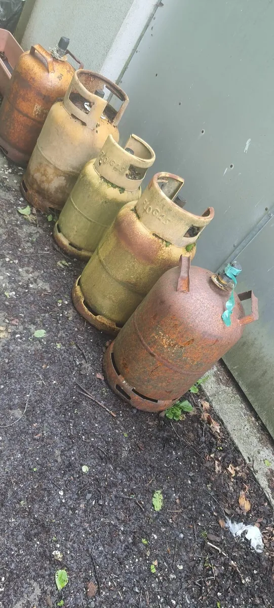 Gas cylinders, calor, flogas - Image 1