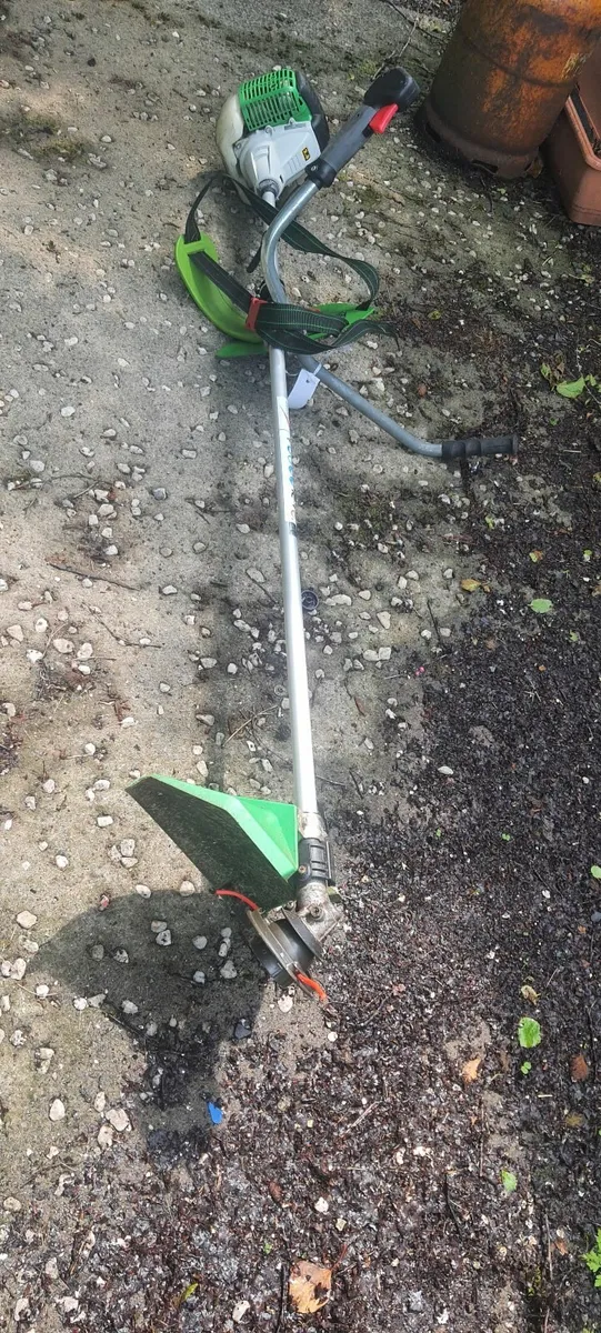 Strimmer - Image 1