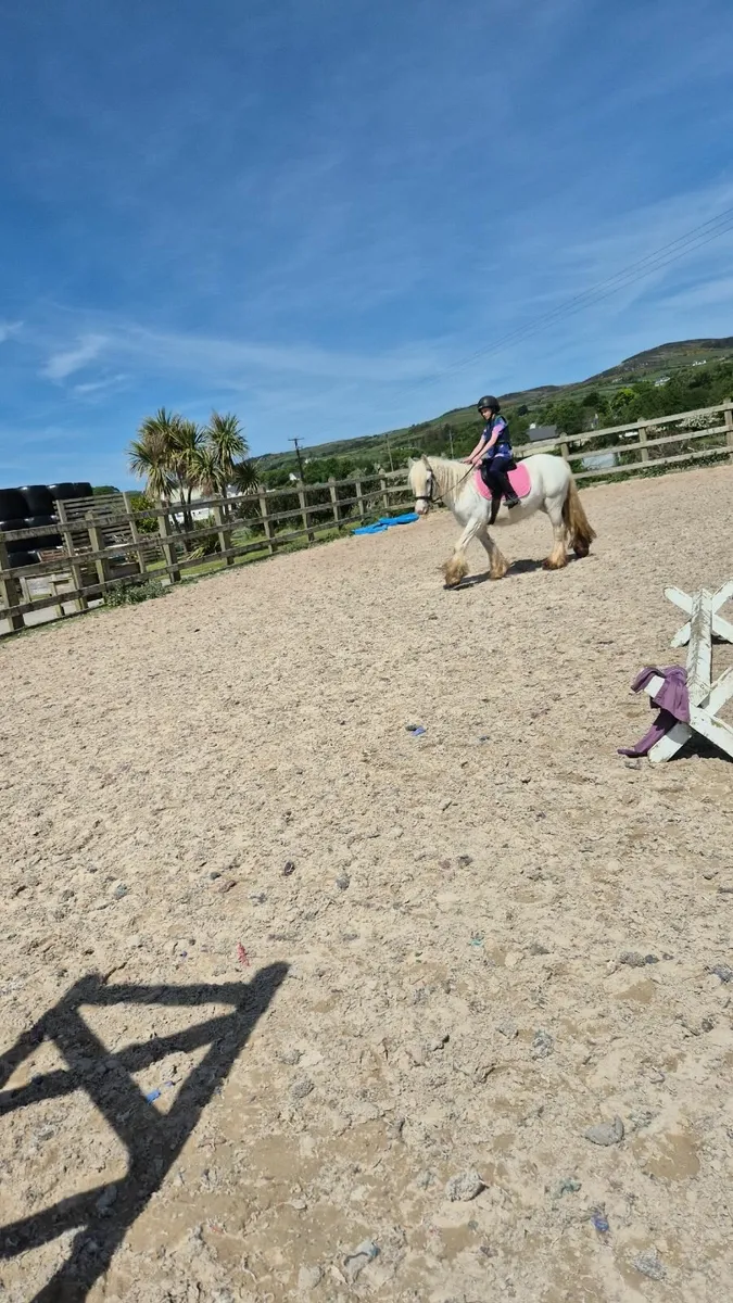 Project pony - Image 2