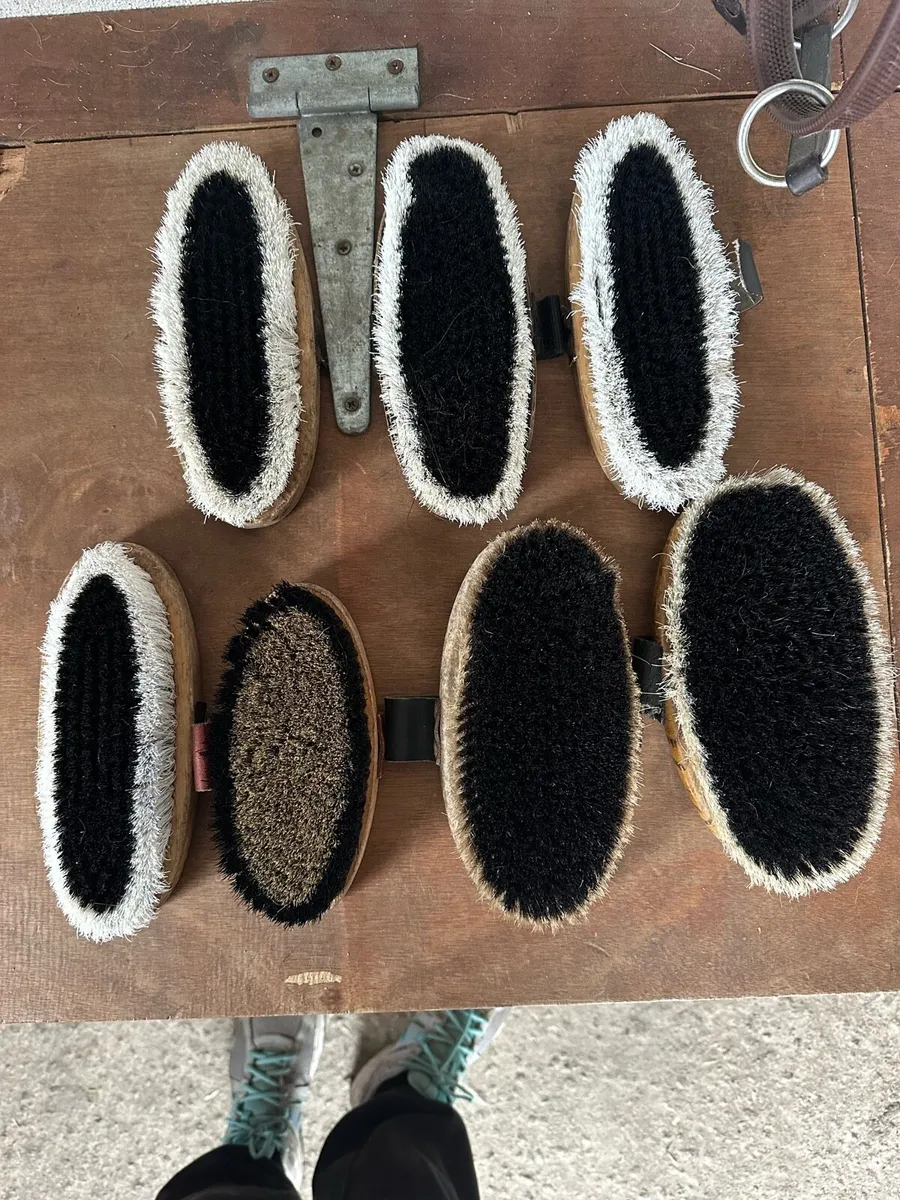 Grooming brushes - Image 1