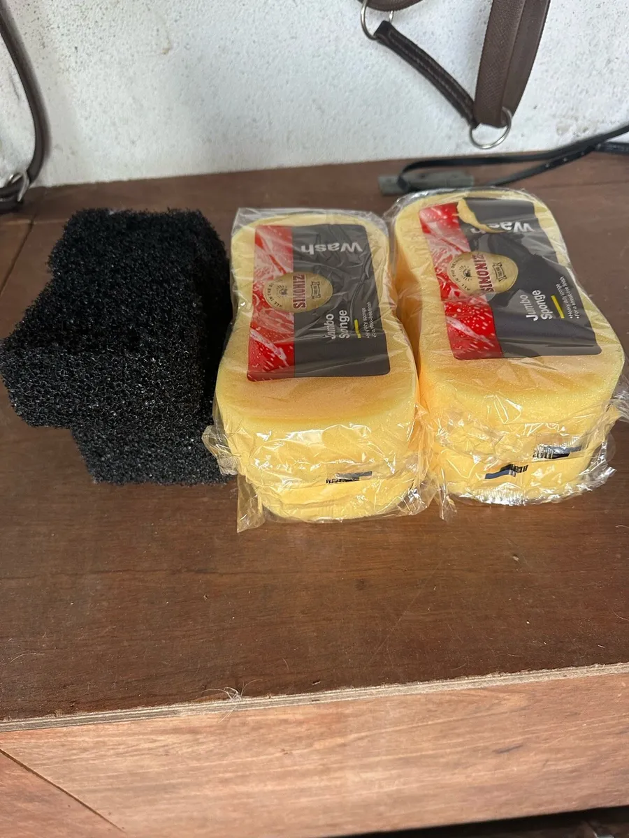 Sponges - Image 1