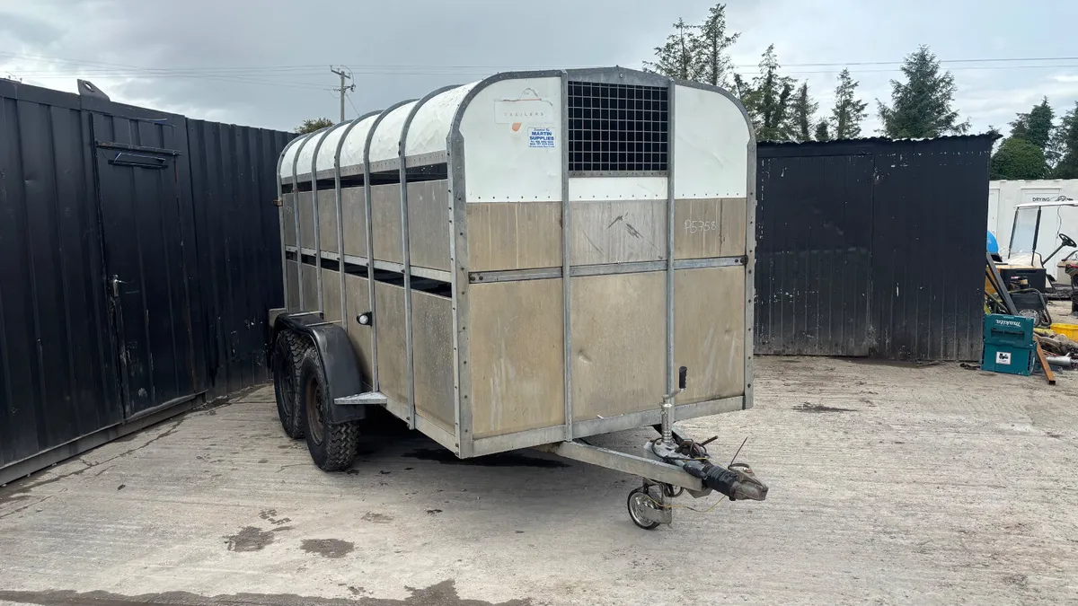 Nugent 12x6 Cattle Trailer - Image 3