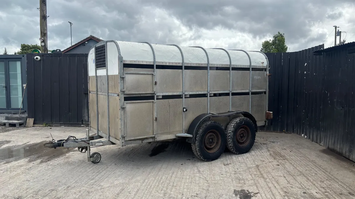 Nugent 12x6 Cattle Trailer - Image 2