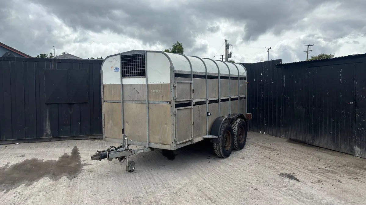 Nugent 12x6 Cattle Trailer - Image 1
