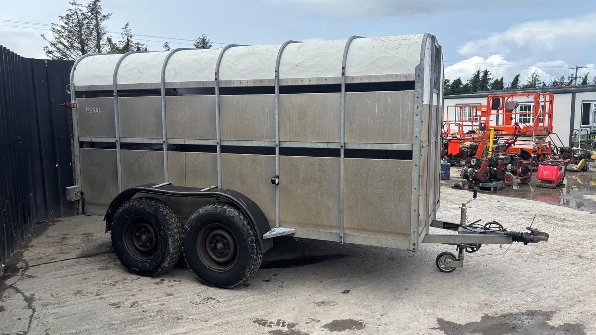 Nugent 12x6 Cattle Trailer - Image 4