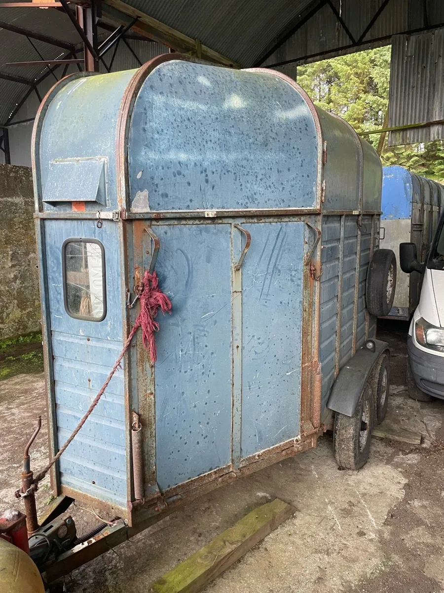 Horse box - Image 3