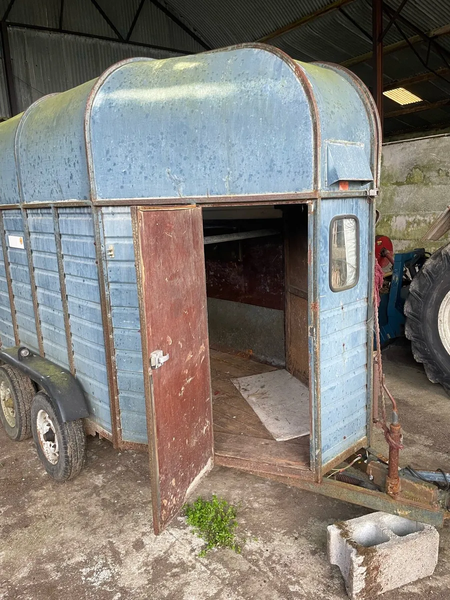 Horse box - Image 4