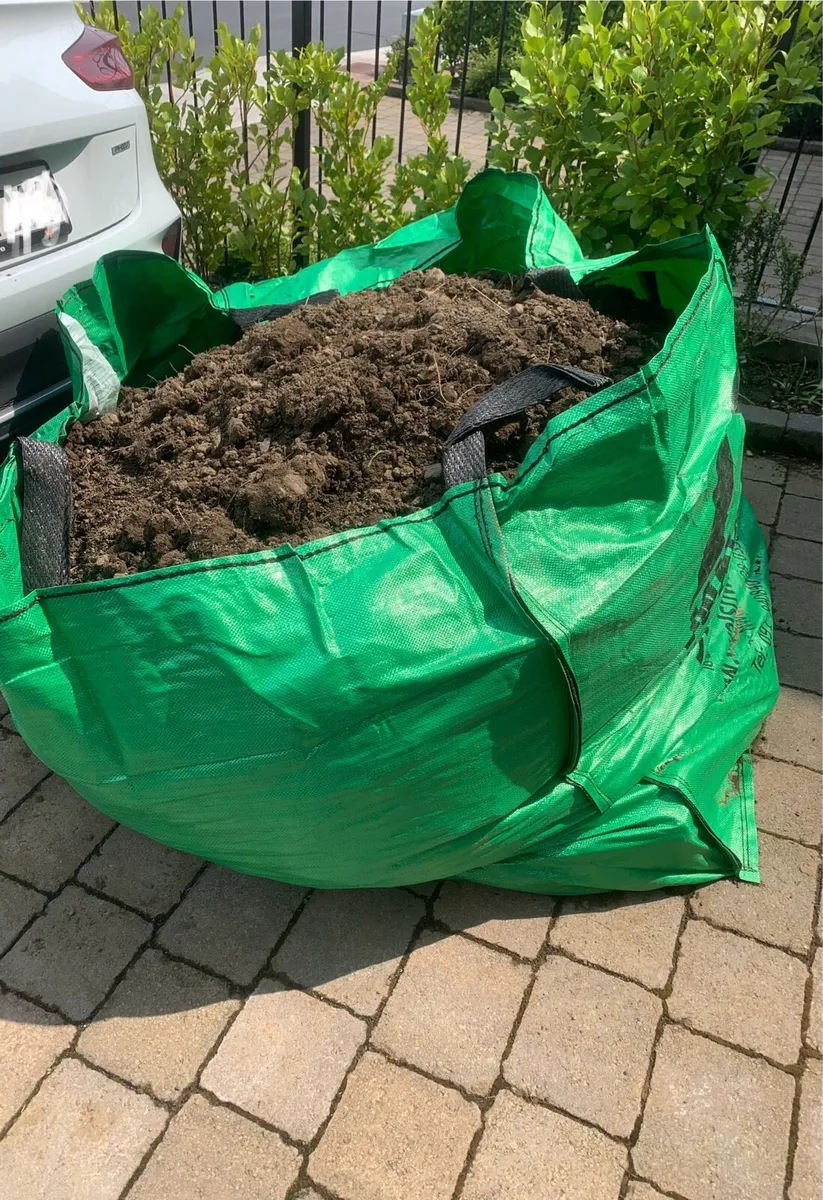 Free Soil