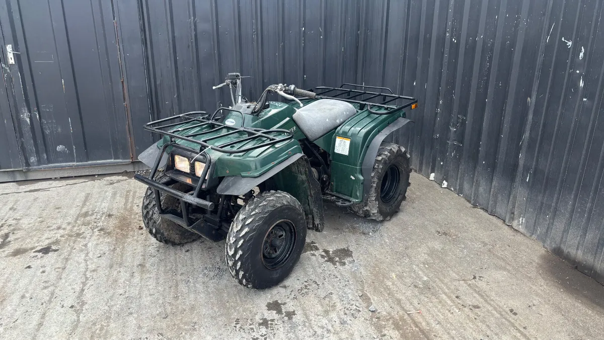 Yamaha BearTracker 250 2WD - Image 1