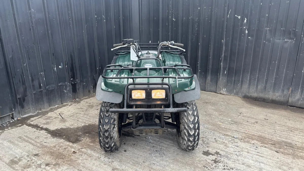 Yamaha BearTracker 250 2WD - Image 2