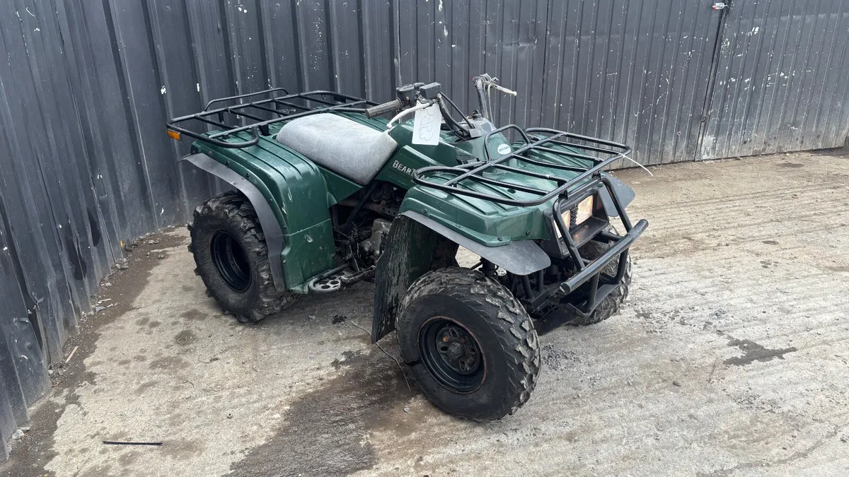 Yamaha BearTracker 250 2WD - Image 3