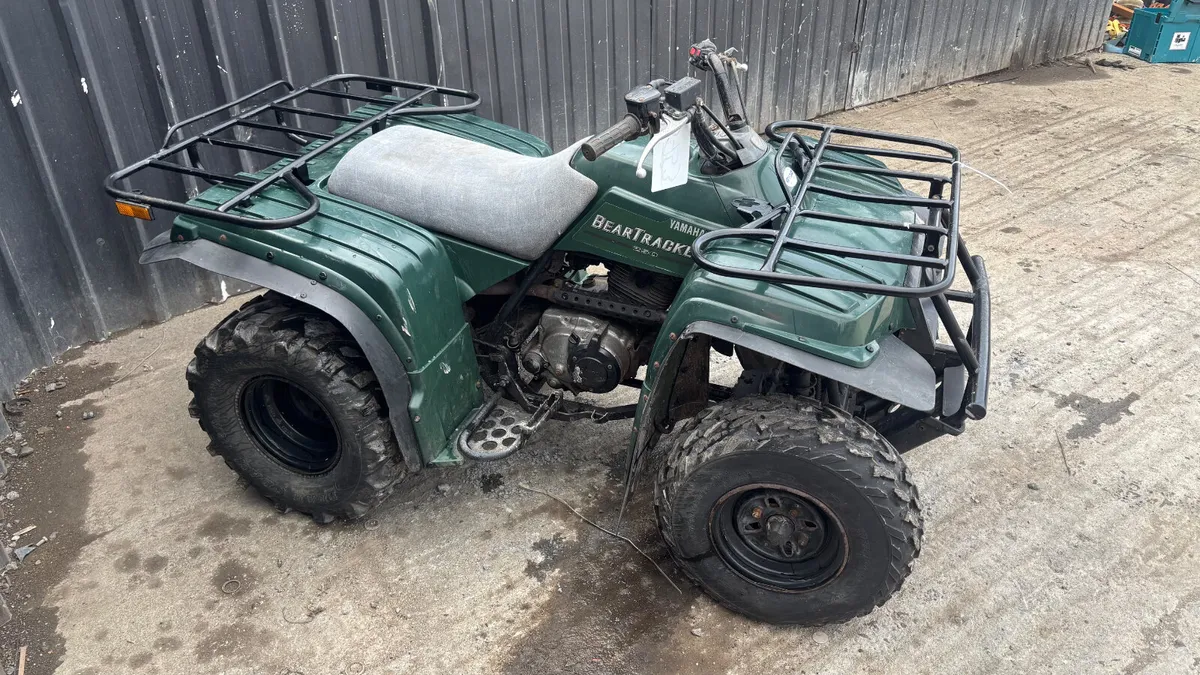 Yamaha BearTracker 250 2WD - Image 4