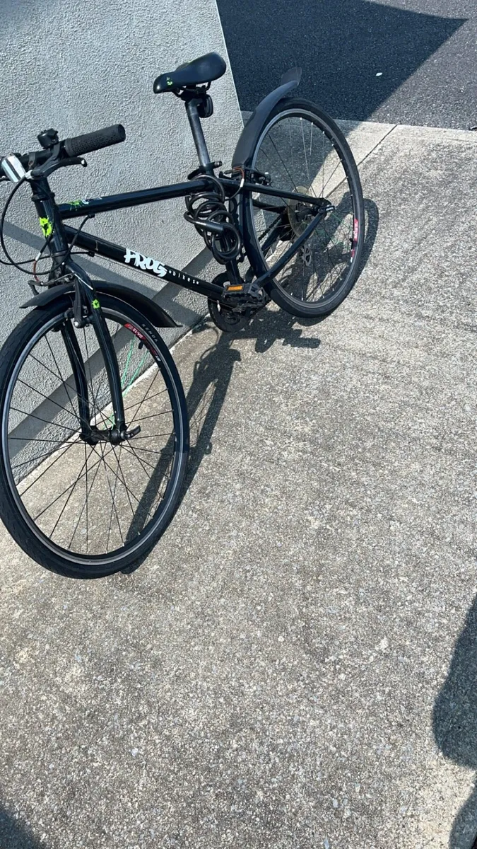Frog bike - Image 1