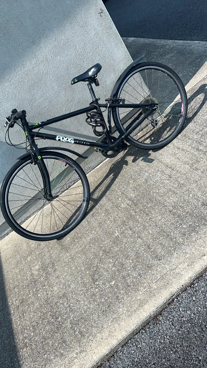 Frog bike - Image 3