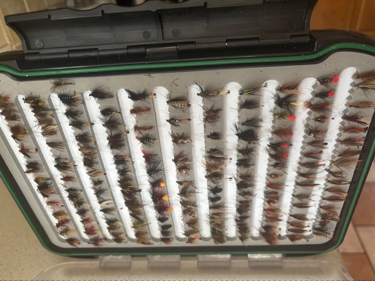 360 lake flies with Snowbee flybox - Image 3