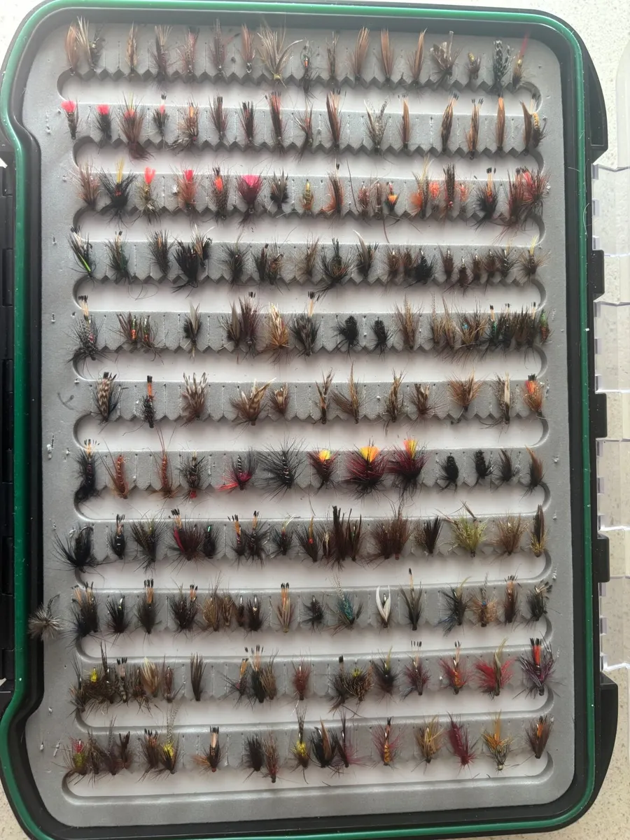 360 lake flies with Snowbee flybox - Image 1