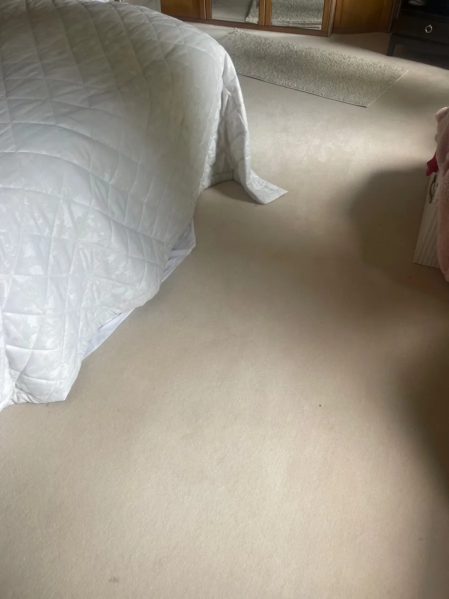 Carpet - Image 2