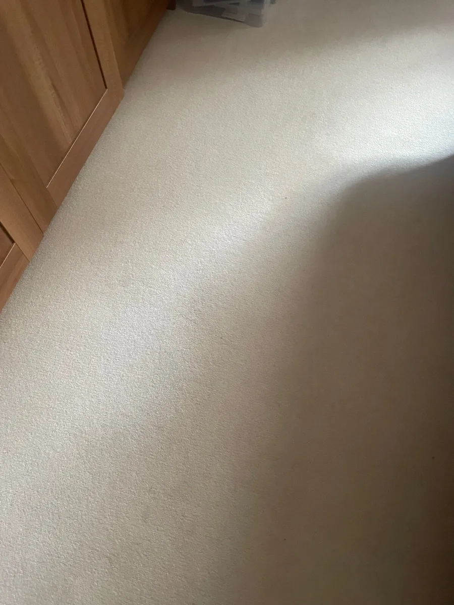 Carpet - Image 3