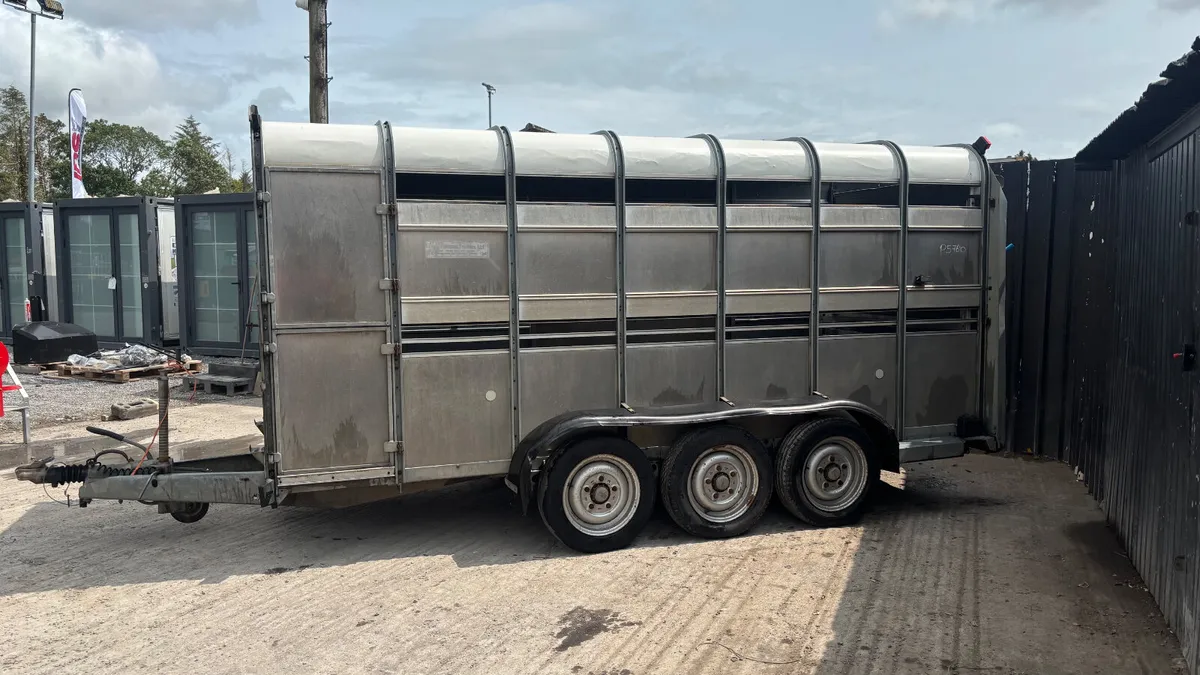IFor Williams Tri-Axle Cattle Trailer - Image 4
