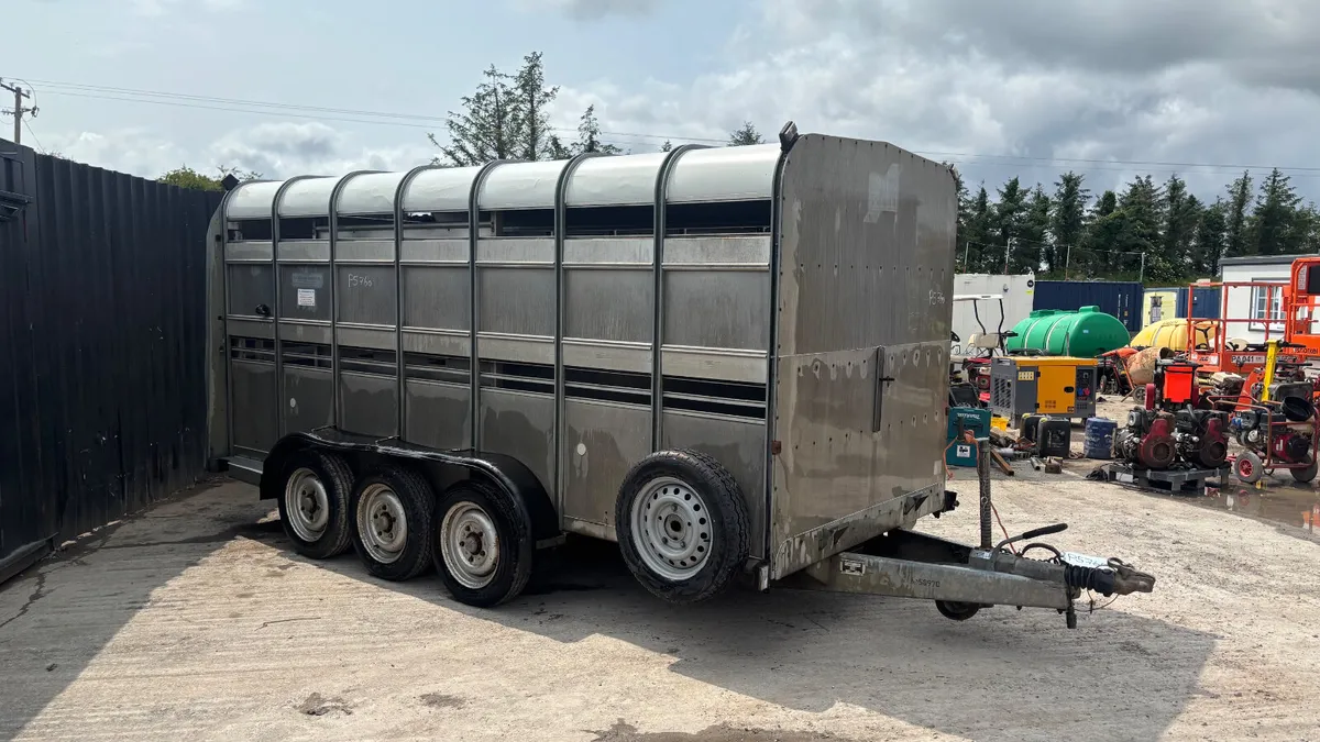 IFor Williams Tri-Axle Cattle Trailer - Image 3
