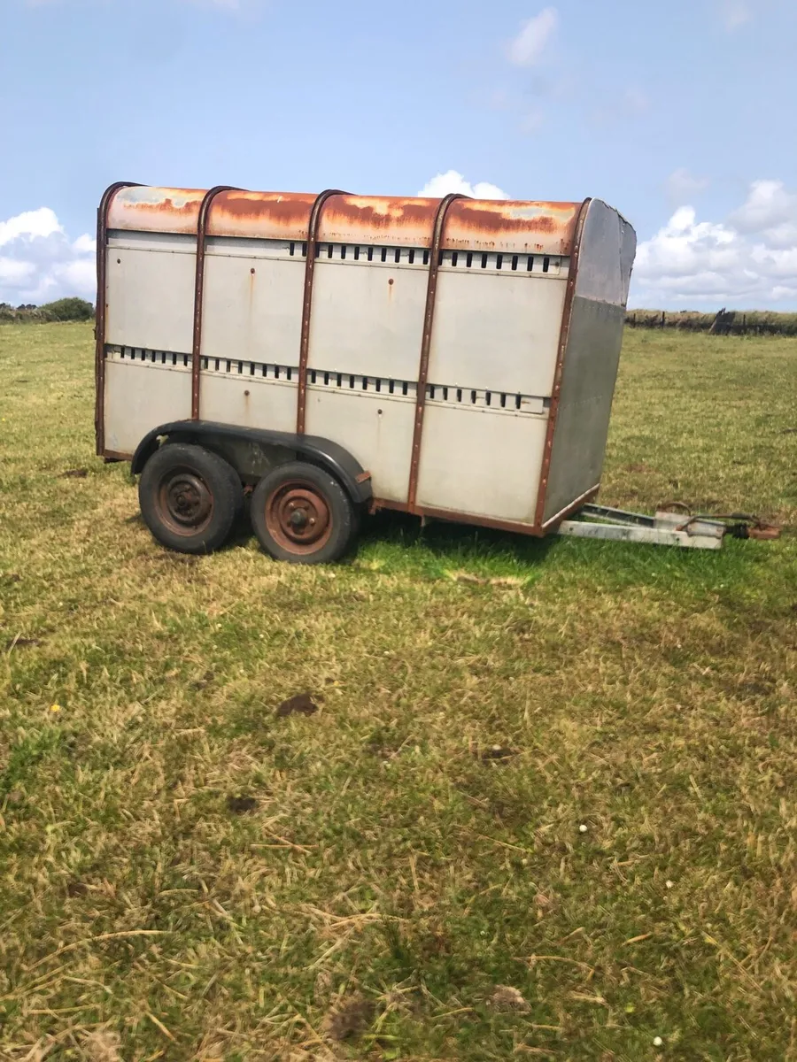 Cattle trailer. 10x6 - Image 1