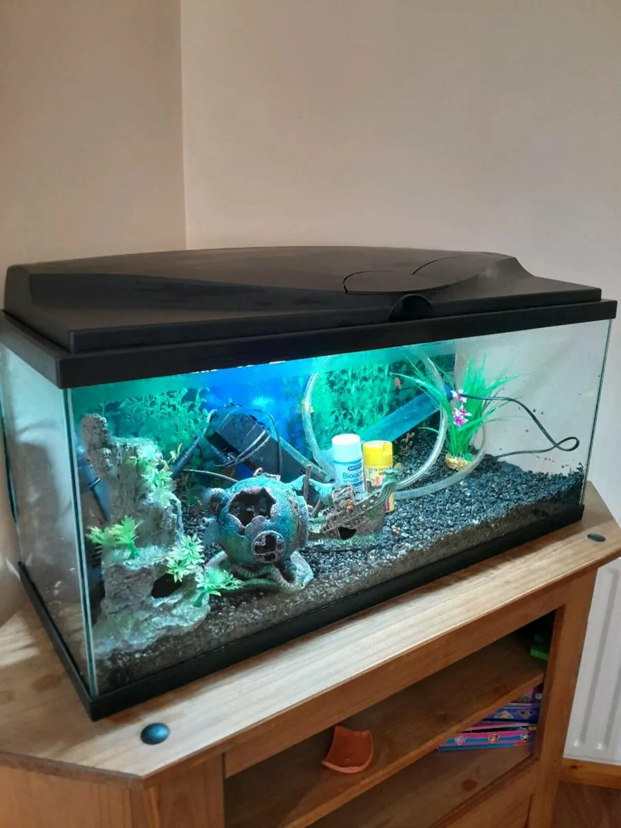 Fish tank + ects - Image 2