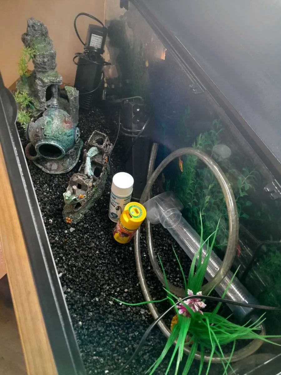 Fish tank + ects - Image 3