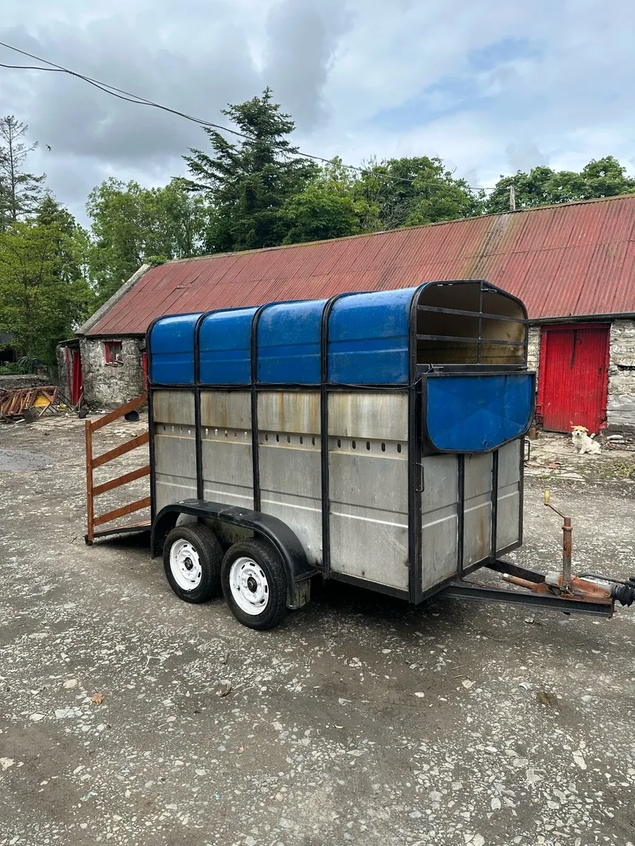 Aerlite 8’x5’ Cattle/Horse Trailer - Condition - Image 1