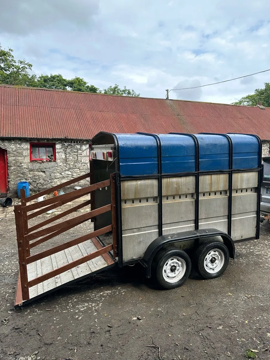 Aerlite 8’x5’ Cattle/Horse Trailer - Condition - Image 2