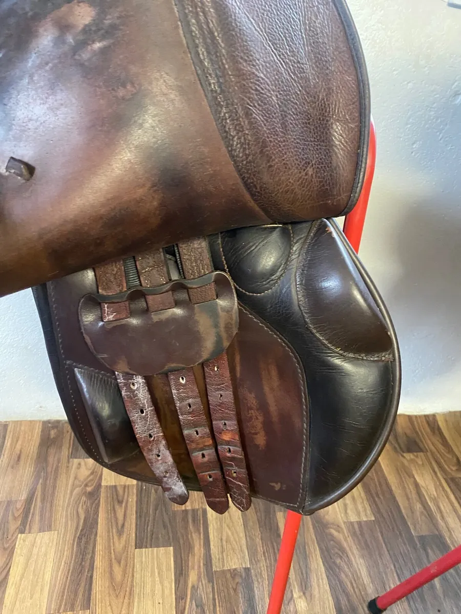 Berney brothers saddle - Image 2