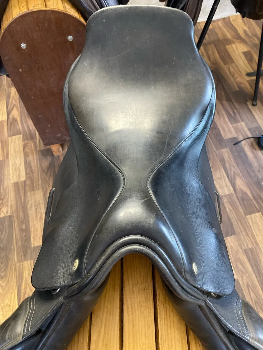 Euroriding jumping saddle narrow 17.5 - Image 2